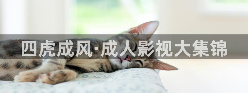 欧美影院|超棒大片
