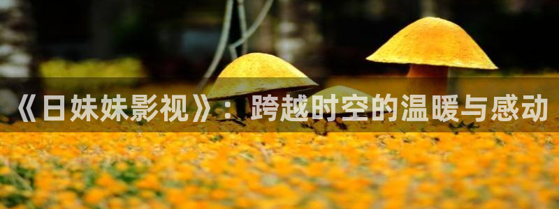 黄色欧美影院