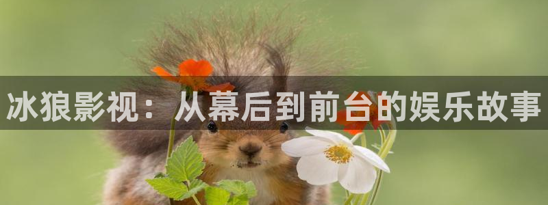 欧美影院草草草