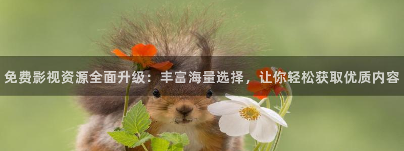 在线欧美影院