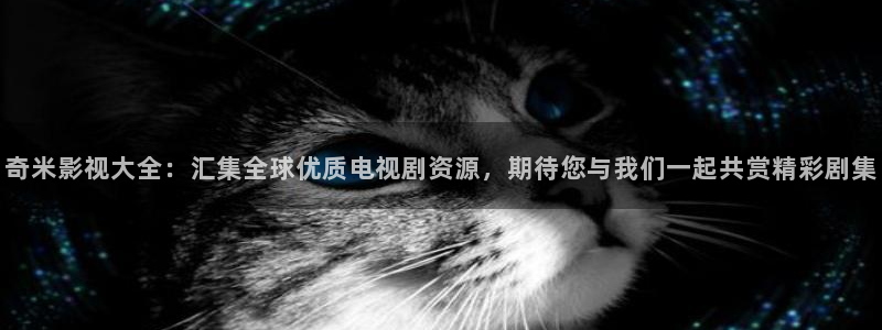 欧美影院子